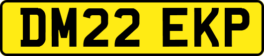DM22EKP