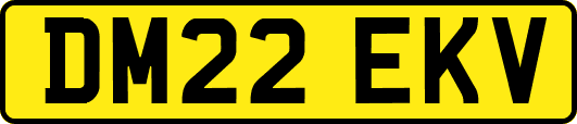 DM22EKV