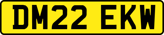 DM22EKW