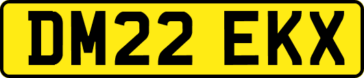 DM22EKX