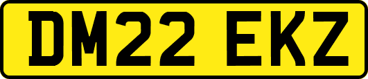 DM22EKZ