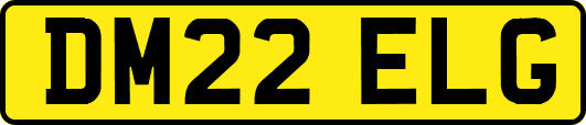 DM22ELG
