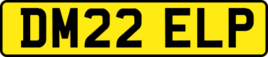 DM22ELP