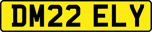 DM22ELY