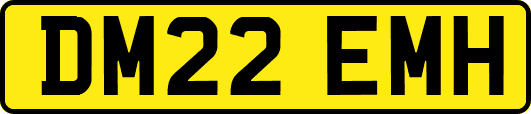 DM22EMH