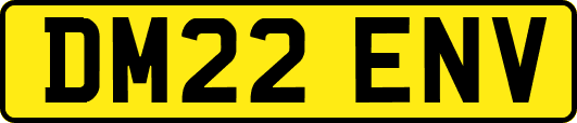 DM22ENV