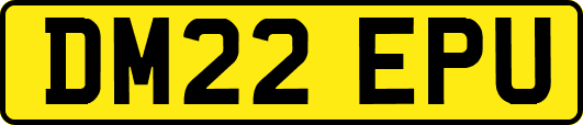 DM22EPU