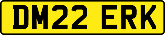 DM22ERK