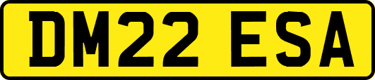 DM22ESA