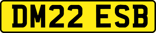 DM22ESB