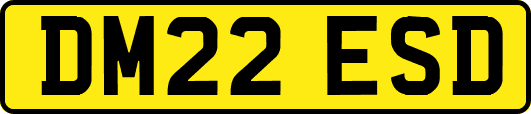 DM22ESD