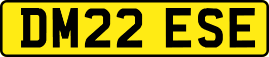 DM22ESE