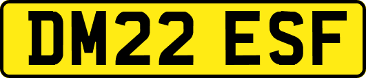 DM22ESF