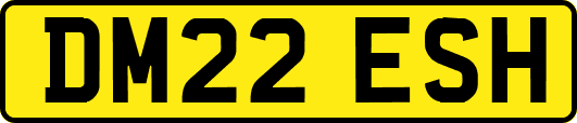 DM22ESH