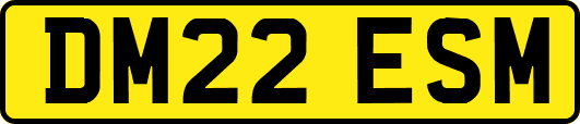 DM22ESM
