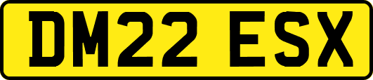 DM22ESX