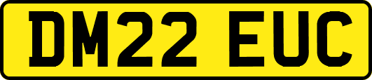 DM22EUC