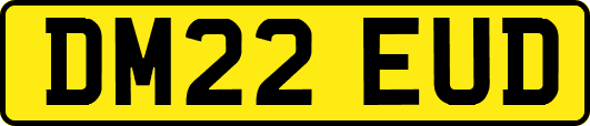DM22EUD