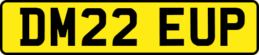DM22EUP