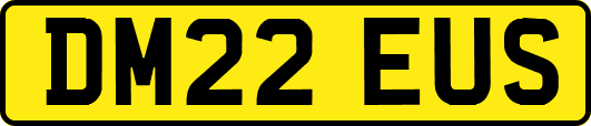 DM22EUS
