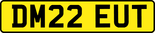 DM22EUT