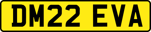 DM22EVA