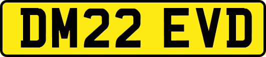 DM22EVD