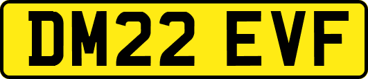 DM22EVF
