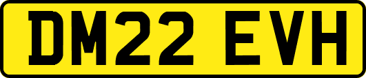 DM22EVH