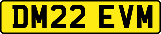 DM22EVM