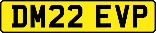 DM22EVP