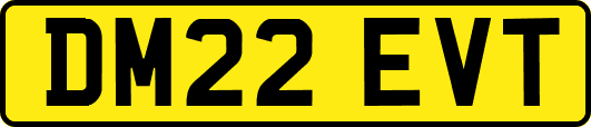 DM22EVT