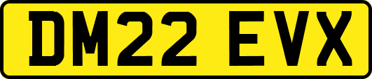 DM22EVX