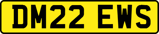 DM22EWS