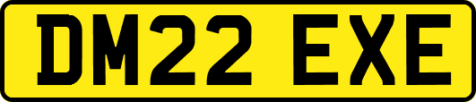 DM22EXE