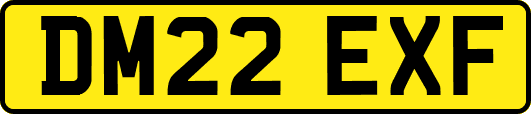 DM22EXF