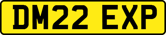 DM22EXP