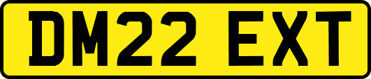 DM22EXT