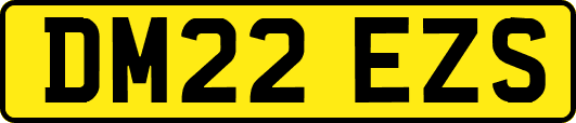 DM22EZS