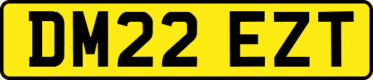 DM22EZT