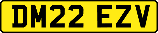DM22EZV