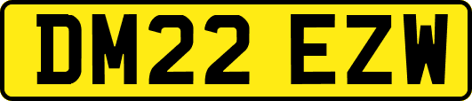 DM22EZW