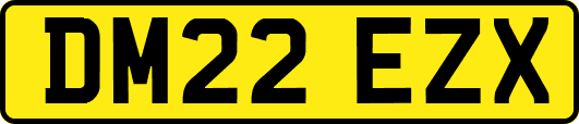 DM22EZX