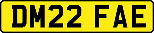 DM22FAE