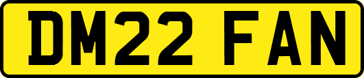 DM22FAN