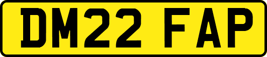 DM22FAP