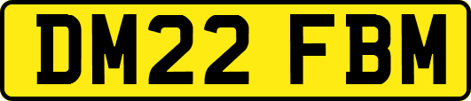 DM22FBM