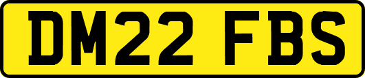 DM22FBS