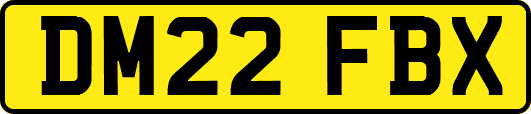 DM22FBX