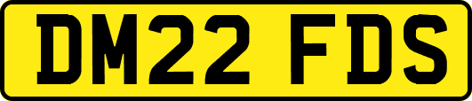 DM22FDS